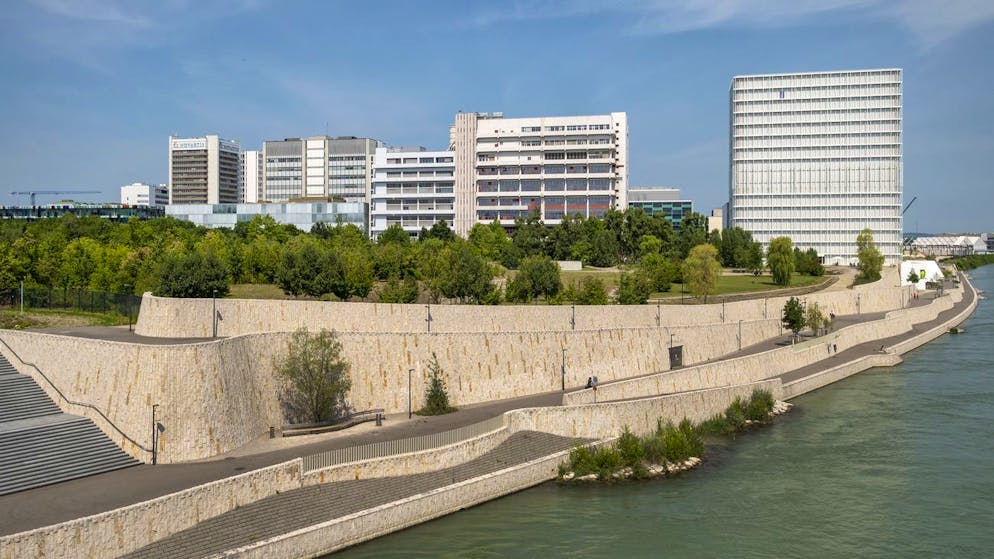Blick auf die Gebaeude auf dem Novartis Campus in Basel am Mittwoch, 3. Juli 2019. (KEYSTONE/Georgios Kefalas)