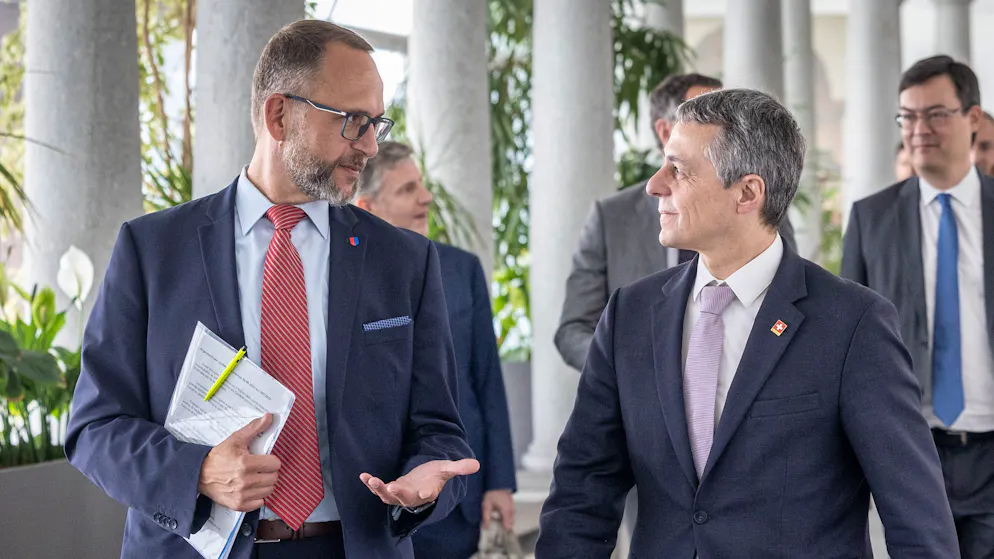 Ukraine-Konferenz. «Einige sagen im Tessin, es sei ein vergiftetes Geschenk»