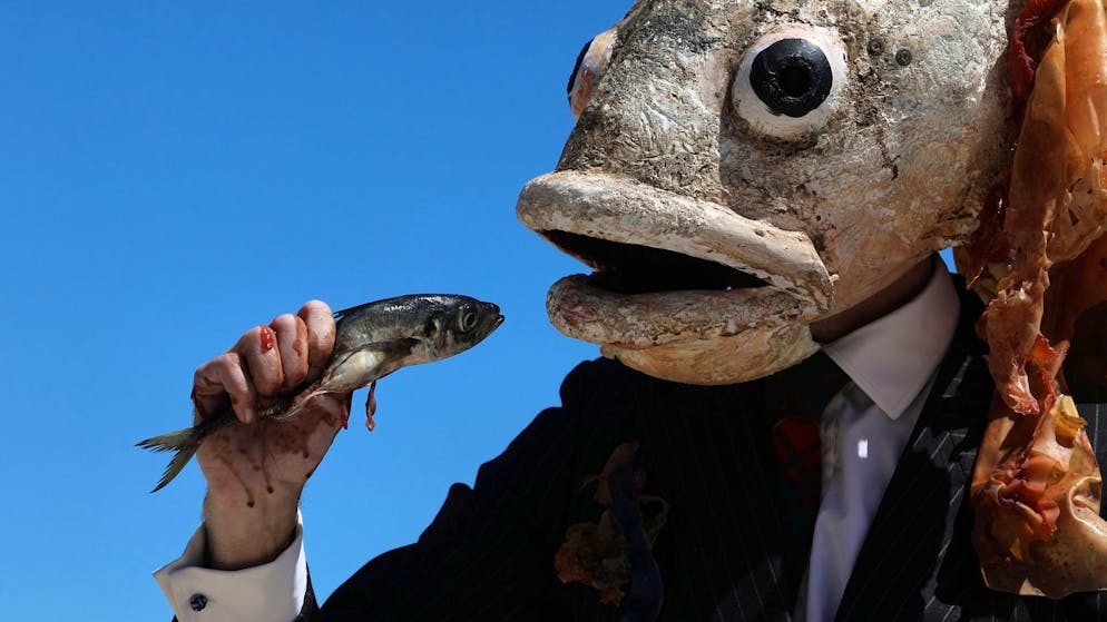 Meeresschützer nach UN-Konferenz. «Die Zeit rennt davon»