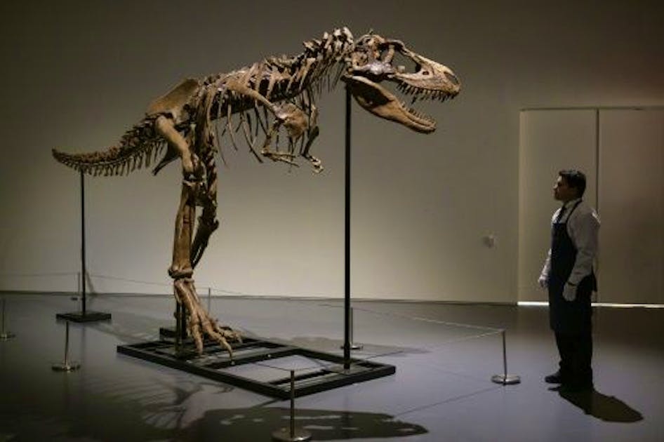 New York.  A Gorgosaurus skeleton sold for .1 million.