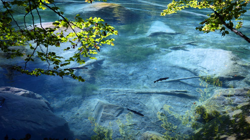 Rischio di overtourism. La Svizzera è una meta sempre più di tendenza tra i turisti, ecco perché