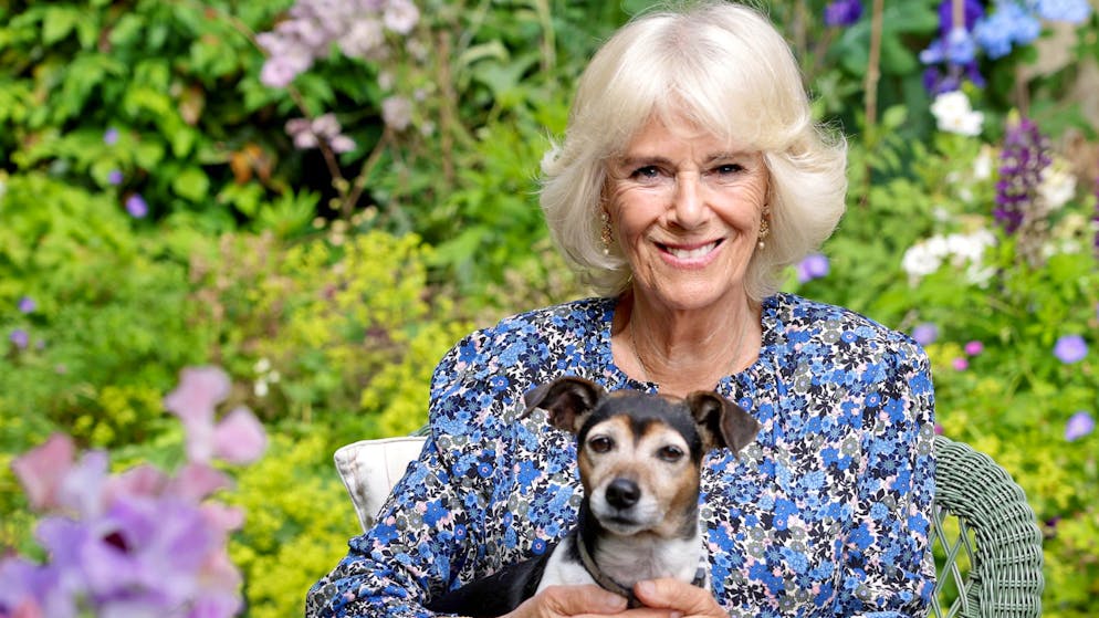 Die Karriere von Camilla. Von der unbeliebtesten Frau des Landes zur Königin der Herzen?