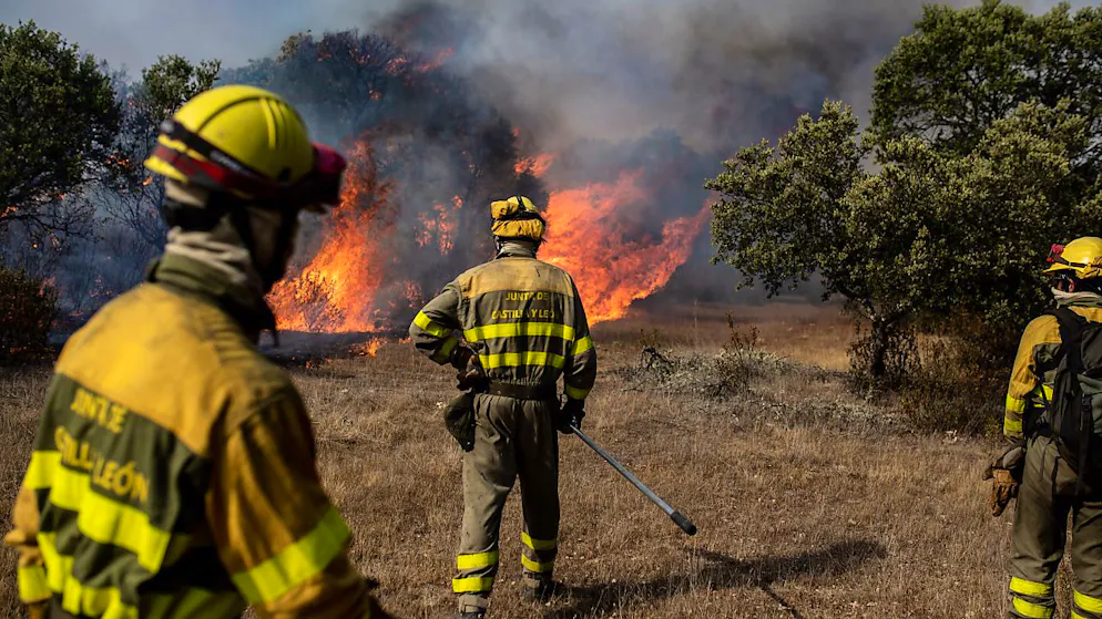 Feuerwehrleute arbeiten an den Löscharbeiten des Losacio-Brandes in Tábara, Zamora, Kastilien und León. Foto: Emilio Fraile/EUROPA PRESS/dpa