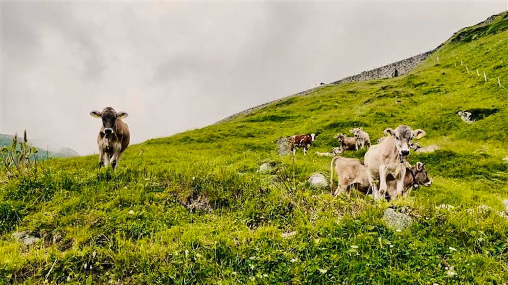 Die Schweiz neu entdeckt, Teil 3/5. Hätte James Bond mehr Zeit gehabt, er wäre hier geblieben