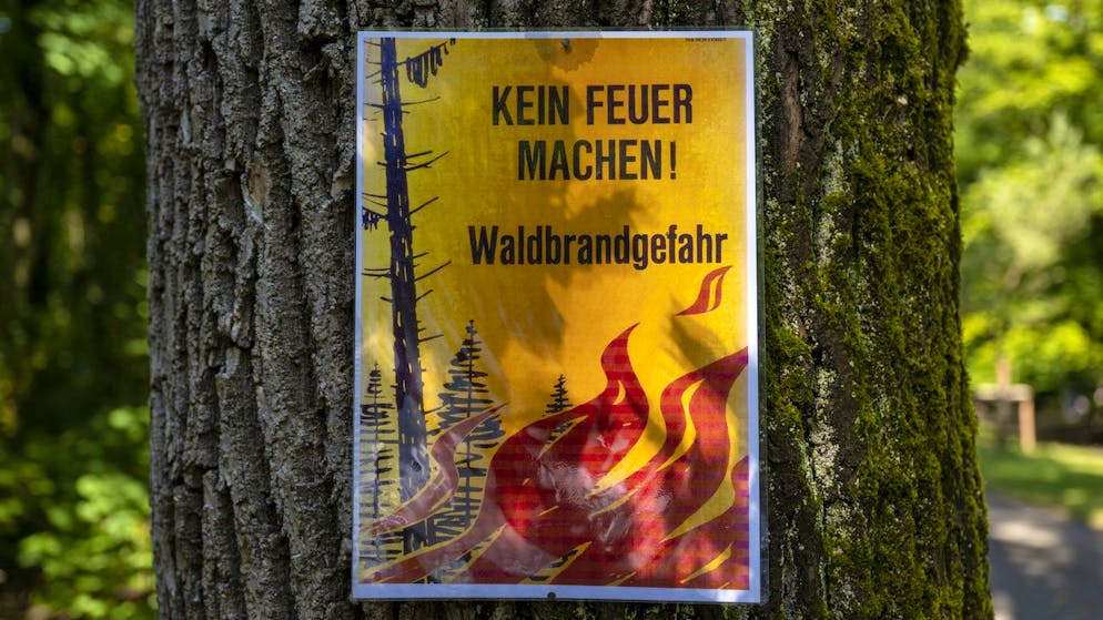 Abstimmung am 9. Februar. Fragen und Antworten zur Umweltverantwortungsinitiative