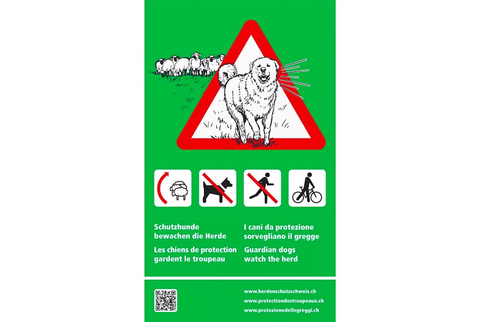 En Suisse, ces panneaux sont bien visibles à l'entrée des pâturages surveillés par des Patous.
