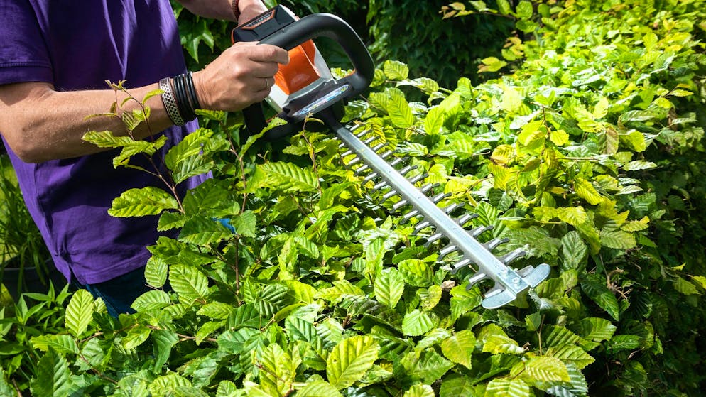 Prügelei mit Schläger und Heckenschere. Dauerstreit im Mehrfamilienhaus eskaliert – Richter spricht von «Terror»