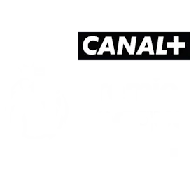 Logo der englischen Premier League mit dem Löwenkopf-Symbol.