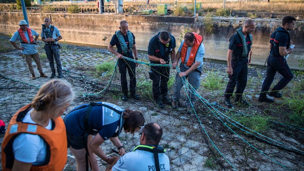 Die Vorbereitungen der Wal-Rettung am 9. August 2022 in Saint-Pierre-la-Garenne in der Normandie.