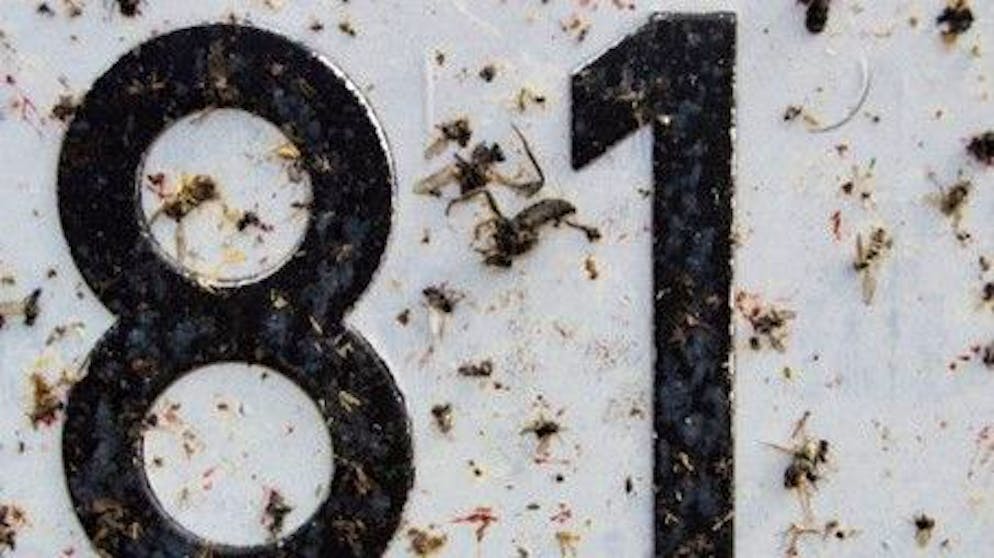 Dopo un giro in autostrada, gli insetti si attaccano ancora all'auto, ma non così tanto come qualche anno fa.
