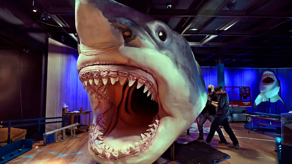 Researchers reveal new details. Prehistoric shark megalodon was probably smaller than thought