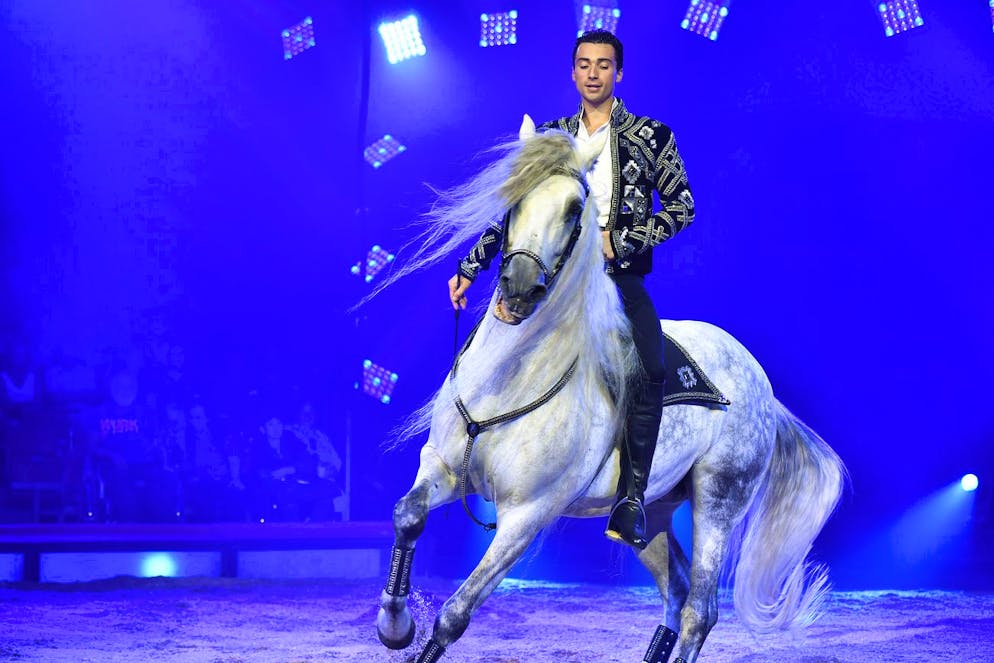«Quando lavoro con un cavallo, dimentico tutto ciò che mi circonda. I cavalli sono una scuola per la vita»: Ivan Frédéric Knie.