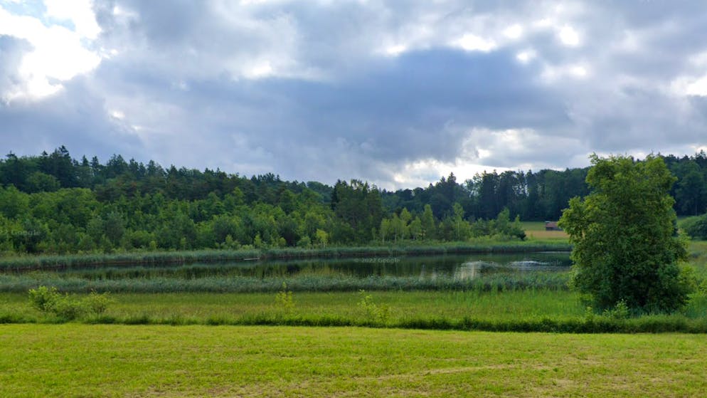 Auftrag der Ehefrau?. Killer sollen Mann mit Betonklotz in Thurgauer See versenkt haben