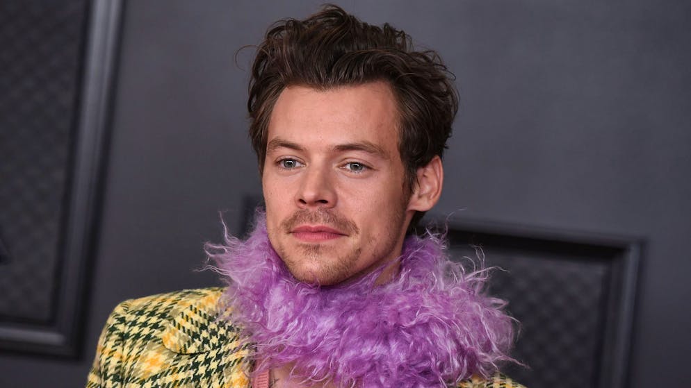 Sie schickte ihm 8000 Karten. Stalkerin von Harry Styles muss ins Gefängnis