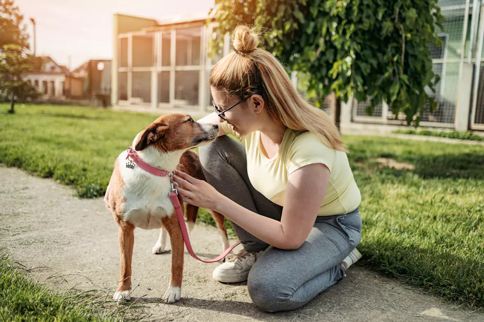 Faire certaines activités avec un chien peut favoriser la relaxation, la stabilité émotionnelle, l'attention, la concentration et la créativité, selon une étude sud-coréenne.