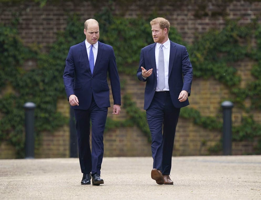 Harry e William discutono sul vero custode del destino di Diana. Il principe William e il principe Harry, qui durante la rivelazione di una statua di Diana nel luglio del 2021, negli ultimi anni si dovrebbero essere sempre più allontanati l'uno dall'altro.