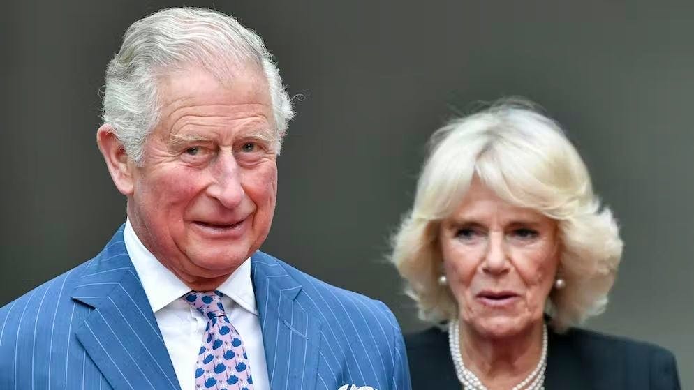 Harry e William discutono sul vero custode del destino di Diana. Dopo il divorzio, il principe Carlo si è sposato con la duchessa Camilla, con cui già durante il suo primo matrimonio aveva intrattenuto una relazione amorosa.