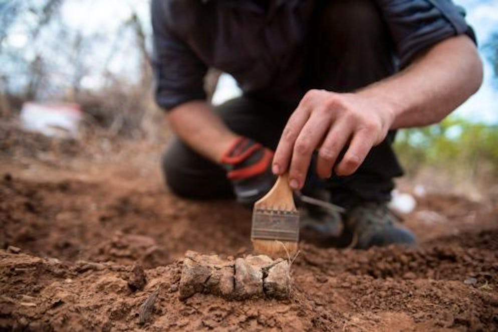 Un scientifique brosse des ossements d'un dinosaure, le plus ancien d'Afrique. Photo prise le 18 mai 2019, publiée le 1er septembre 2022 et mise à disposition  par Virginia Tech University/Zach Murphy.