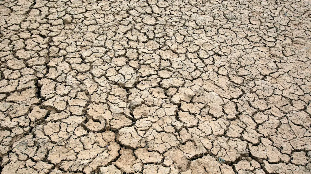 En l'absence de changements immédiats, le Moyen-Orient devrait se réchauffer de cinq degrés Celsius d'ici à la fin du siècle, ce qui pourrait dépasser les seuils critiques d'adaptabilité des humains dans certains pays, avertit l'étude (archives).