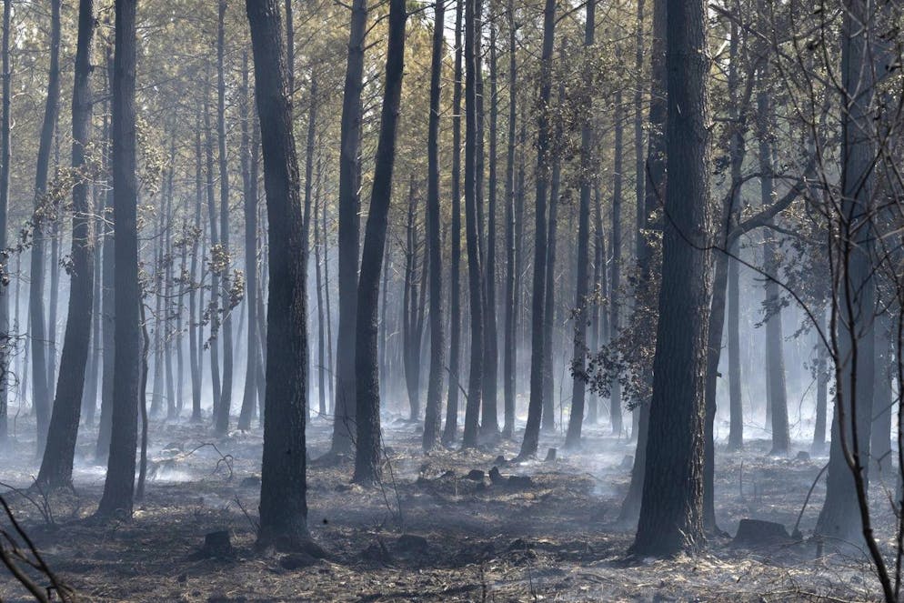 Après les gigantesques feux de l'été, les flammes continuent de faire des ravages en Gironde.