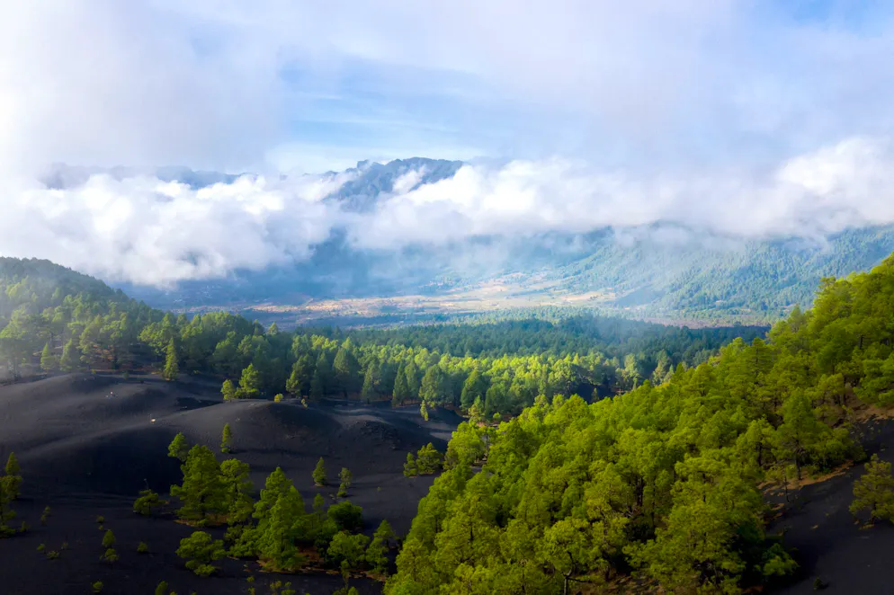 Surnommée «La Isla Bonita» («La belle île»), La Palma abrite une nature préservée.