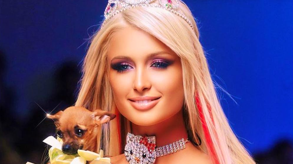 Hotelerbin Paris Hilton vermisst Chihuahua Diamond Baby. Vor einer Woche verschwand Hündchen Diamond Baby bei ihrem Umzug. Hotelerbin Paris Hilton vermisst das Tierchen schmerzhaft und macht sich Sorgen. 
