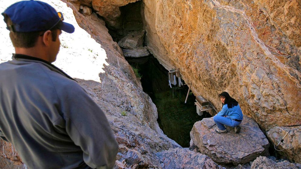 Une espèce rare de poisson, le Cyprinodon diabolis, vit dans le Devils Hole (archives).