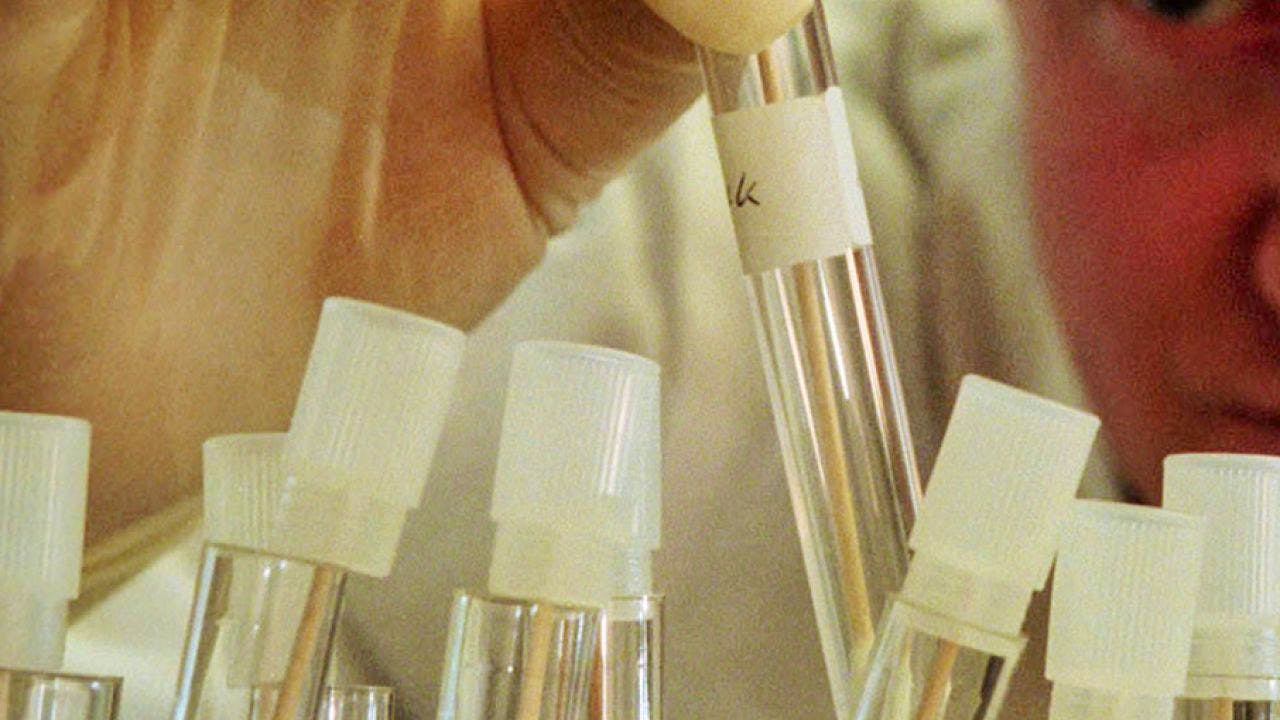 Consiglio Federale: Da Dicembre Nuove Disposizioni Sui Test Genetici ...