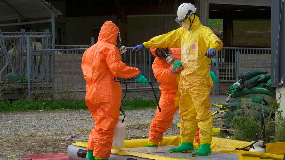 Esercitazione a Mezzana. «Peste suina africana, siamo pronti»