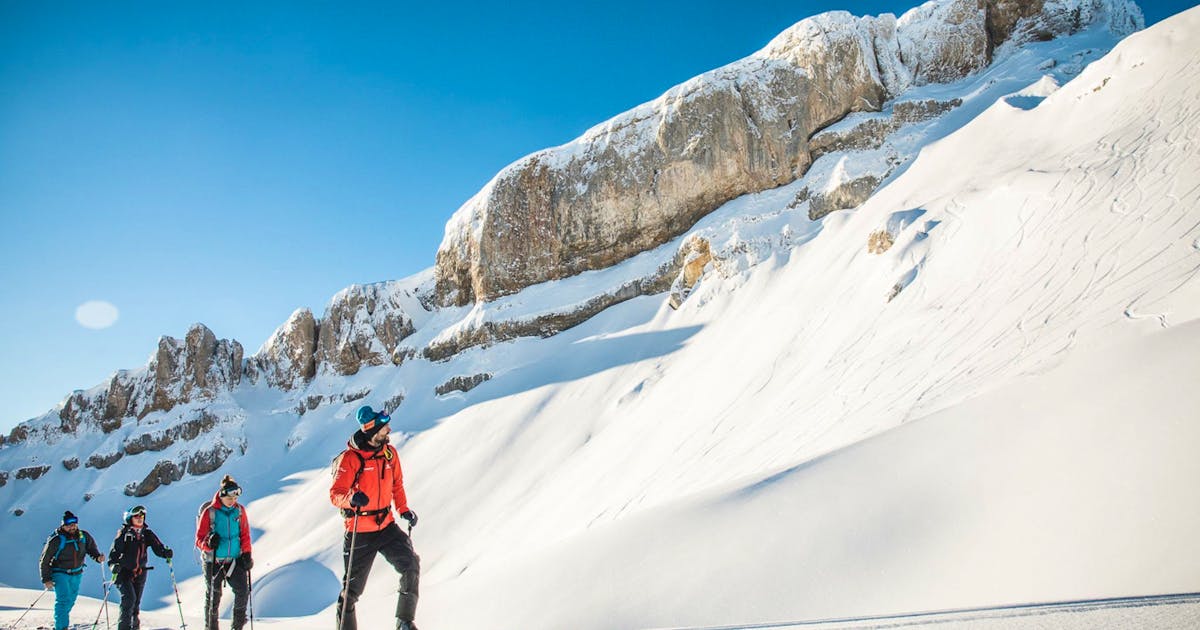 Kleinwalsertal: A scavenger bin cripples a ski resort in Austria