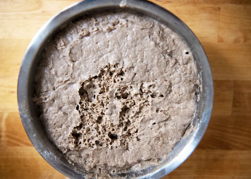 Knusprig, fermentiert, greifbar – die Textur von Sauerteig erfreut sich grosser Beliebtheit in einer Zeit digitaler Reizüberflutung.