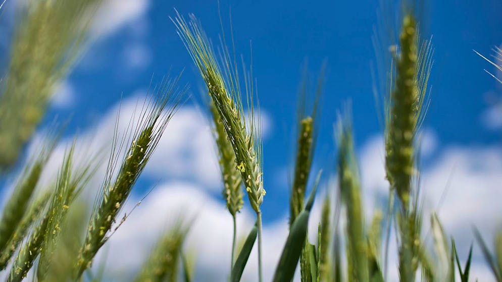 La finanza attenta ai criteri ambientali e sociali ha il vento in poppa.