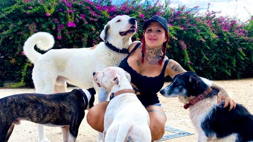 Tieraktivistin und Pornostar. Aviva Rocks: «Ich suche für meine Tiere dringend ein neues Zuhause»