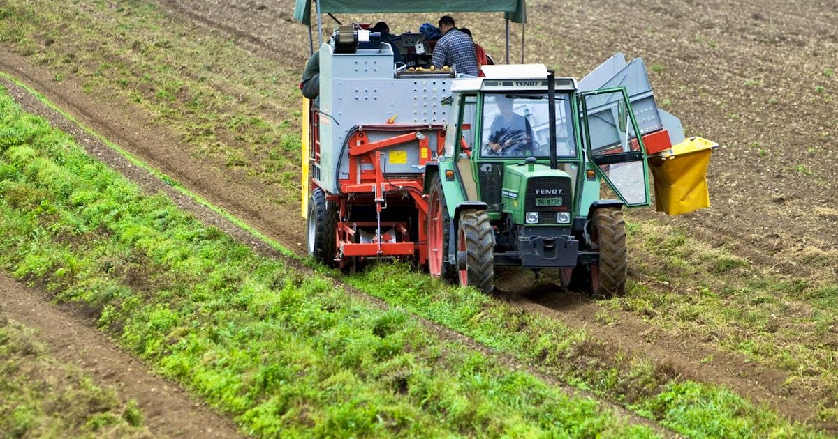 65 Franken mehr pro Monat: Mindestlöhne in der Landwirtschaft steigen 65 Franken mehr pro Monat: Mindestlöhne in der Landwirtschaft steigen