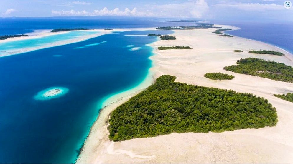 La réserve de Widi, qui contient l'un des écosystèmes les plus intacts du monde, est mise aux enchères
