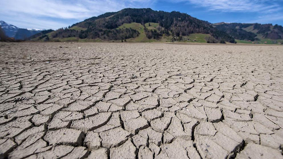 Das Gebiet rund um den Sihlsee bei Euthal SZ litt unter der Trockenheit.