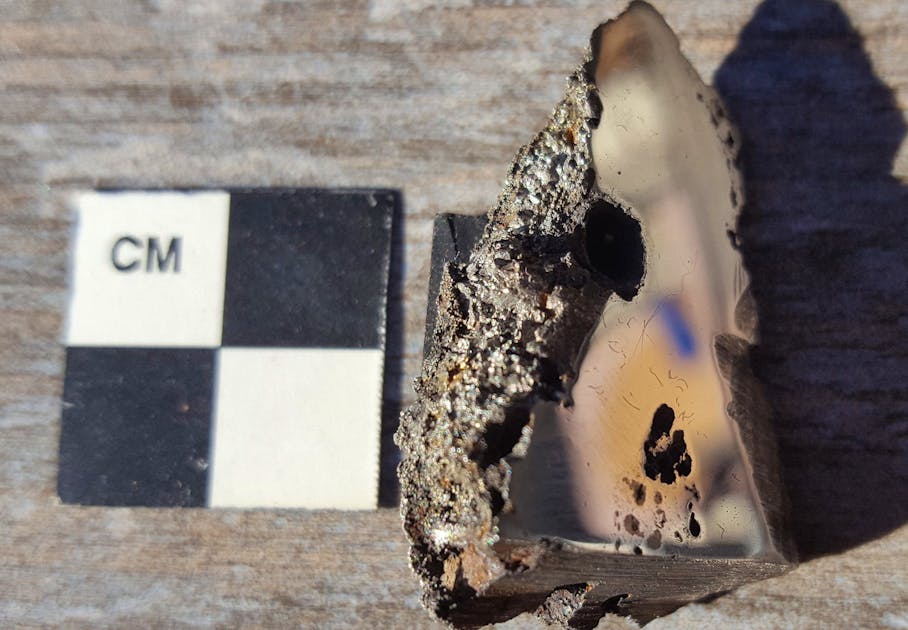 Sciences.  Two “exotic” minerals were discovered in a 15-ton meteorite.