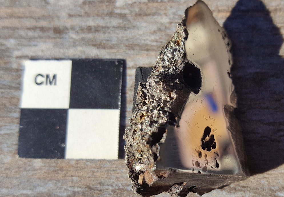 Una fetta del meteorite di El Ali, ora ospitata nella collezione di meteoriti dell'Università di Alberta (Canada), che contiene due minerali mai visti prima sulla Terra.