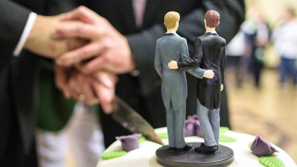 ARCHIV - Zwei Männer schneiden nach ihrer Eheschließung im Rathaus eine Hochzeitstorte an. Der Kampf um die Anerkennung von gleichgeschlechtlichen Ehen hat in Japan einen Rückschlag erlitten. Foto: Ina Fassbender/dpa