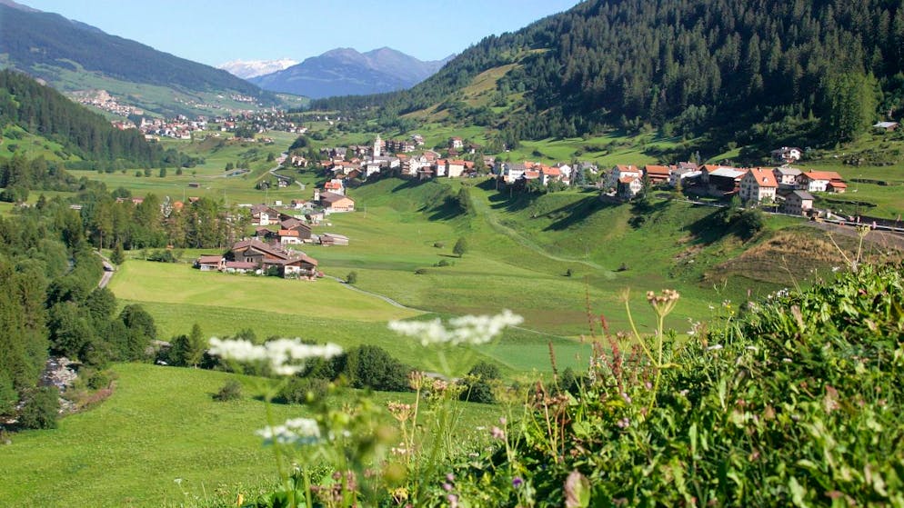 Al via nella regione dell'Albula il Progetto di Sviluppo Regionale (PSR) denominato "La rete dei prodotti regionali Parc Ela".