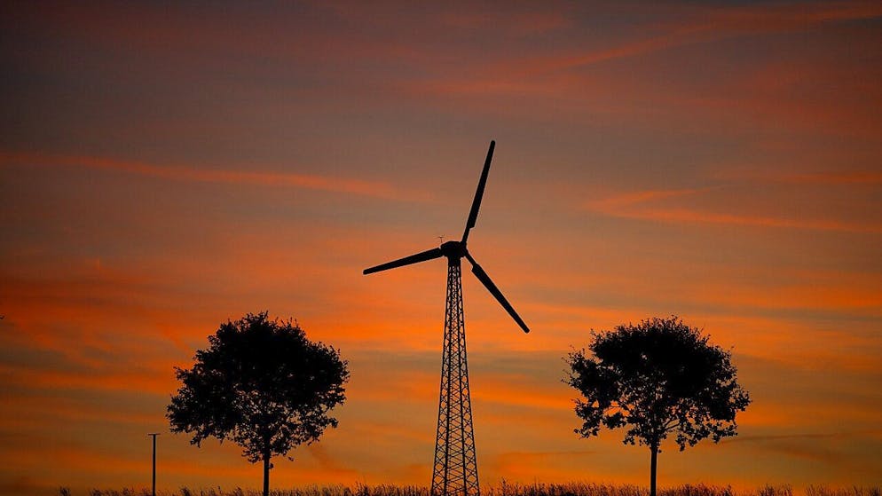 La justice a constaté que "vingt-huit faucons crécerellettes (...) avaient été tués entre 2011 et 2016 par collision avec les éoliennes des parcs du Causse d'Aumelas" et que "cette destruction perdurait malgré la mise en place" en 2014 d'un système électronique d'effarouchement.