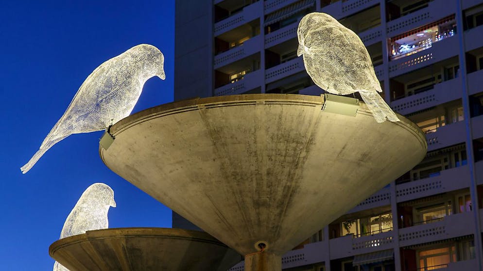 Les volatiles de Cédric Le Borgne sont de retour sur les vasques des fontaines des Tours à Carouge pour l'édition 2022 de Carouge Magique. La Ville a décidé repenser intégralement les illuminations et de baisser leur consommation de 90% afin de répondre au contexte de sobriété énergétique.