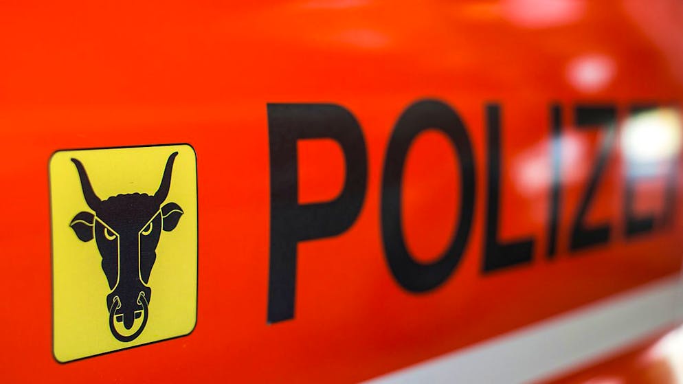 Tödlicher Unfall auf der Klausenstrasse in Uri zwischen Bürglen und Spiringen: Das angefahrene Reh starb noch vor Ort. Der beteiligte Autofahrer kam mit 12'000 Franken Sachschaden davon. (Symbolbild)