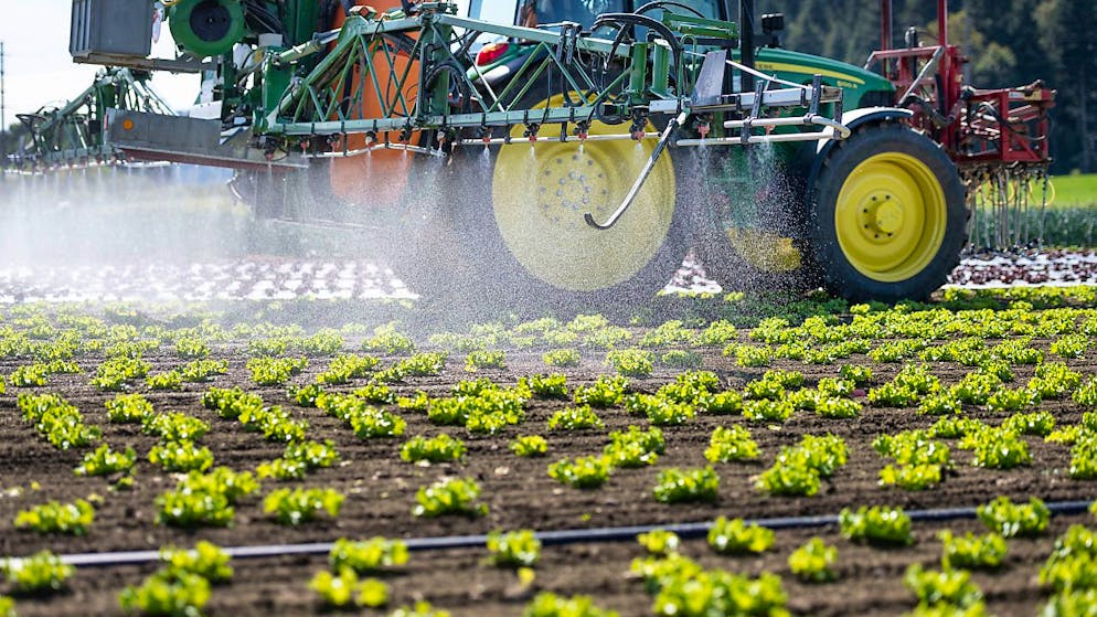 La ONG terzomondista Public Eye chiede il divieto assoluto di esportazione dei pesticidi dalla Svizzera poiché, malgrado l'inasprimento delle norme in vigore dal 2021, l'industria elvetica continua a vendere all'estero pesticidi vietati.