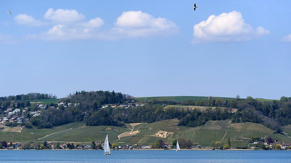 La teneur en phosphore est déjà trop élevée dans le lac de Morat (image d'illustration).