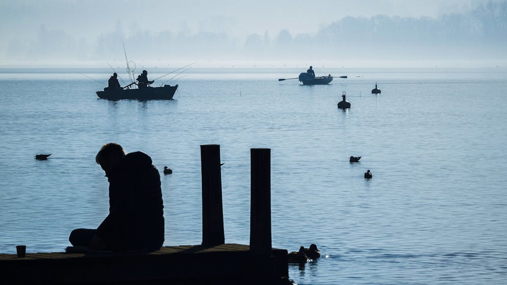 Der Greifensee bei Zürich im Januar 2022: Zu viel Phosphor senkt den Sauerstoffgehalt.