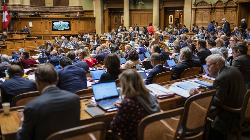 Die grosse Kammer hat am Montag über die Revision beraten.