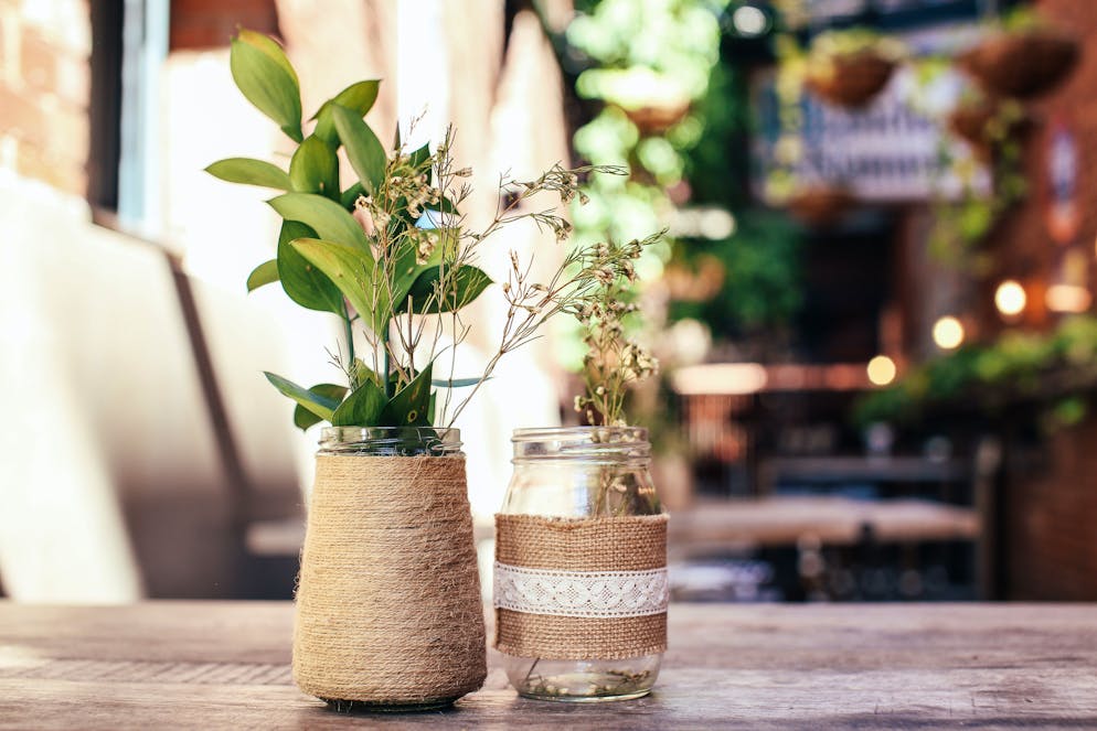 Tipps um nachhaltig Weihnachten zu feiern. Wer anstelle eines Stadtbummels einen Spaziergang am Waldrand macht, findet fast alles, was es für weihnächtliche Deko braucht.