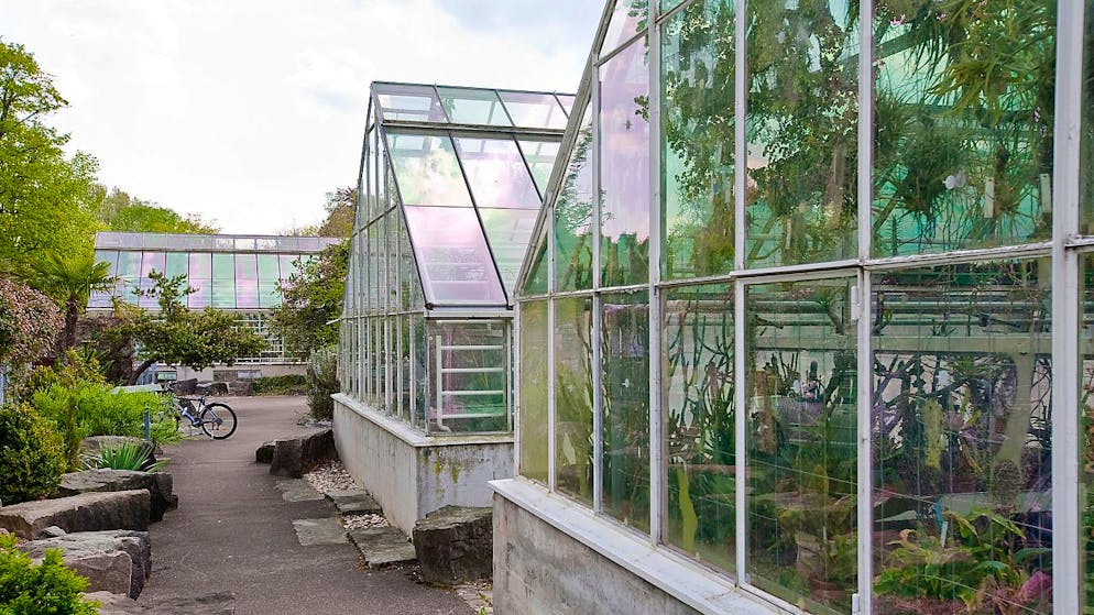 Die Stadt Zürich will bei der Erneuerung der Sukkulenten-Sammlung einen zusammenhängenden Park zwischen Mythenquai und Seeufer schaffen. (Archivbild)