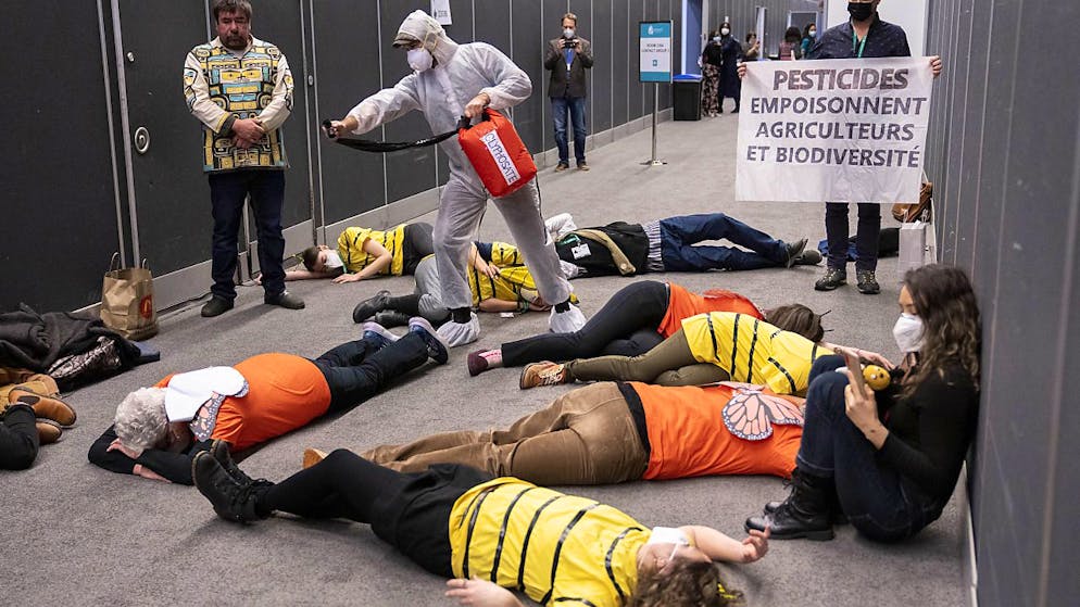 Des militants, dont certains déguisés en insectes, en oiseau ou encore en arbre, ont manifesté samedi à Montréal en parallèle de la COP15.
